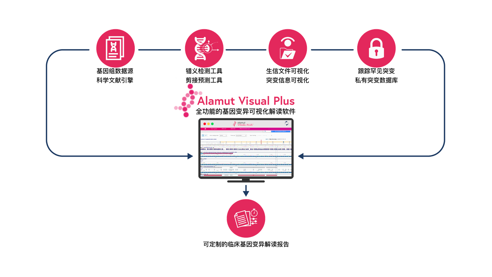 Alamut Visual Plus 界面