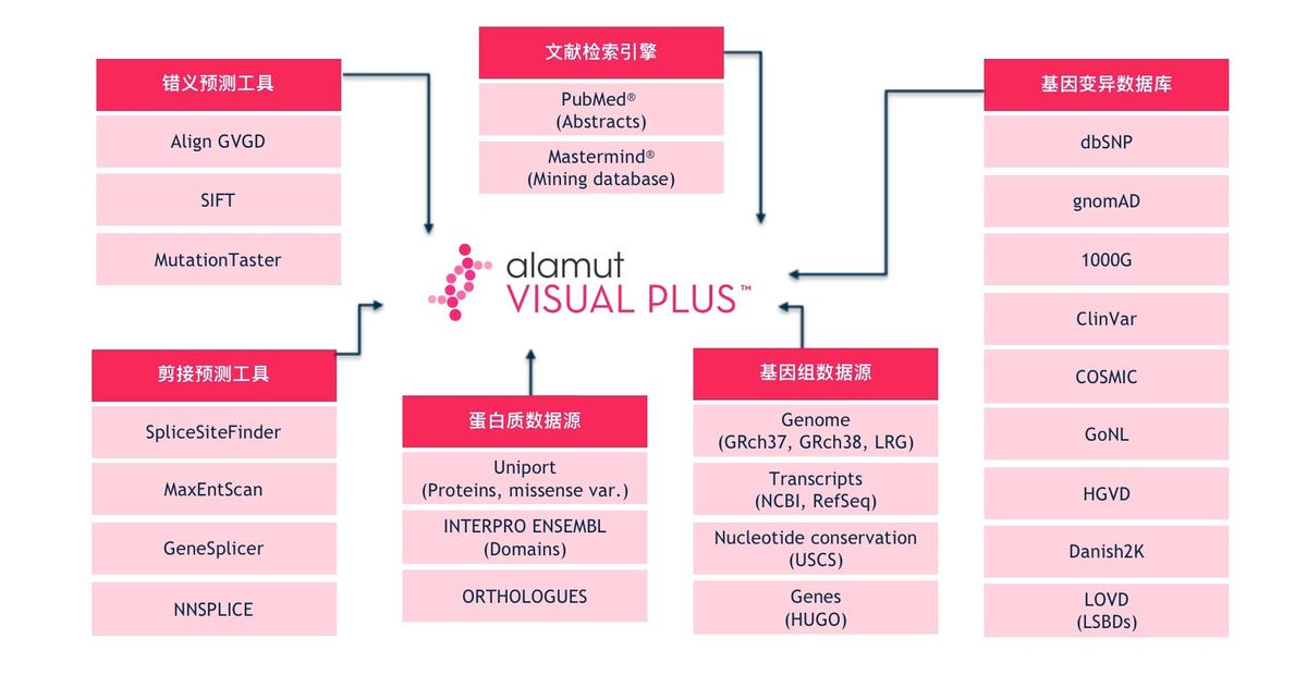 Alamut Visual Plus 图形界面