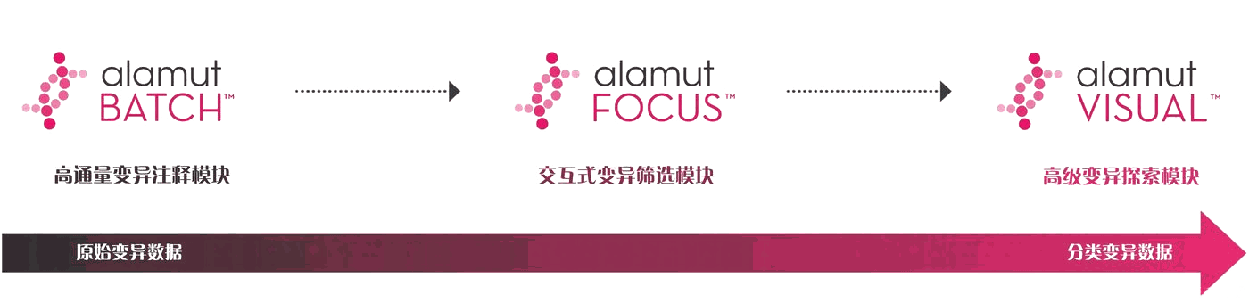 Alamut 解决方案模块