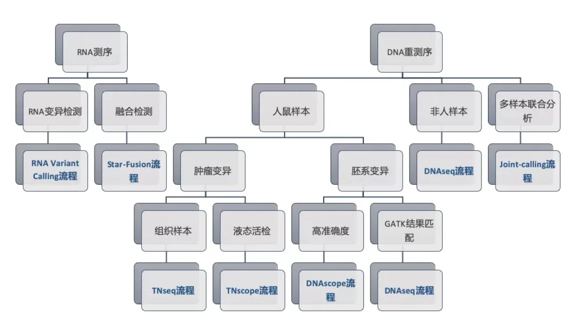 Sentieon DNA与RNA分析流程树